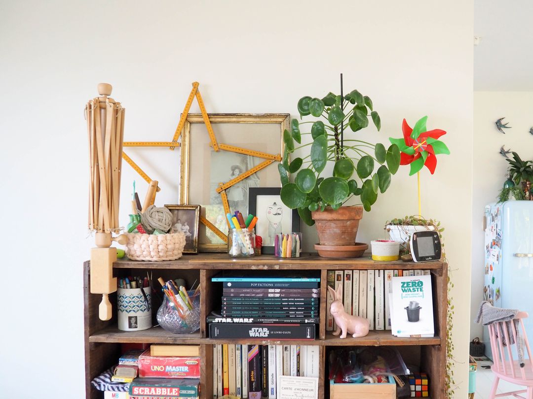 concours Pilea peperomioides