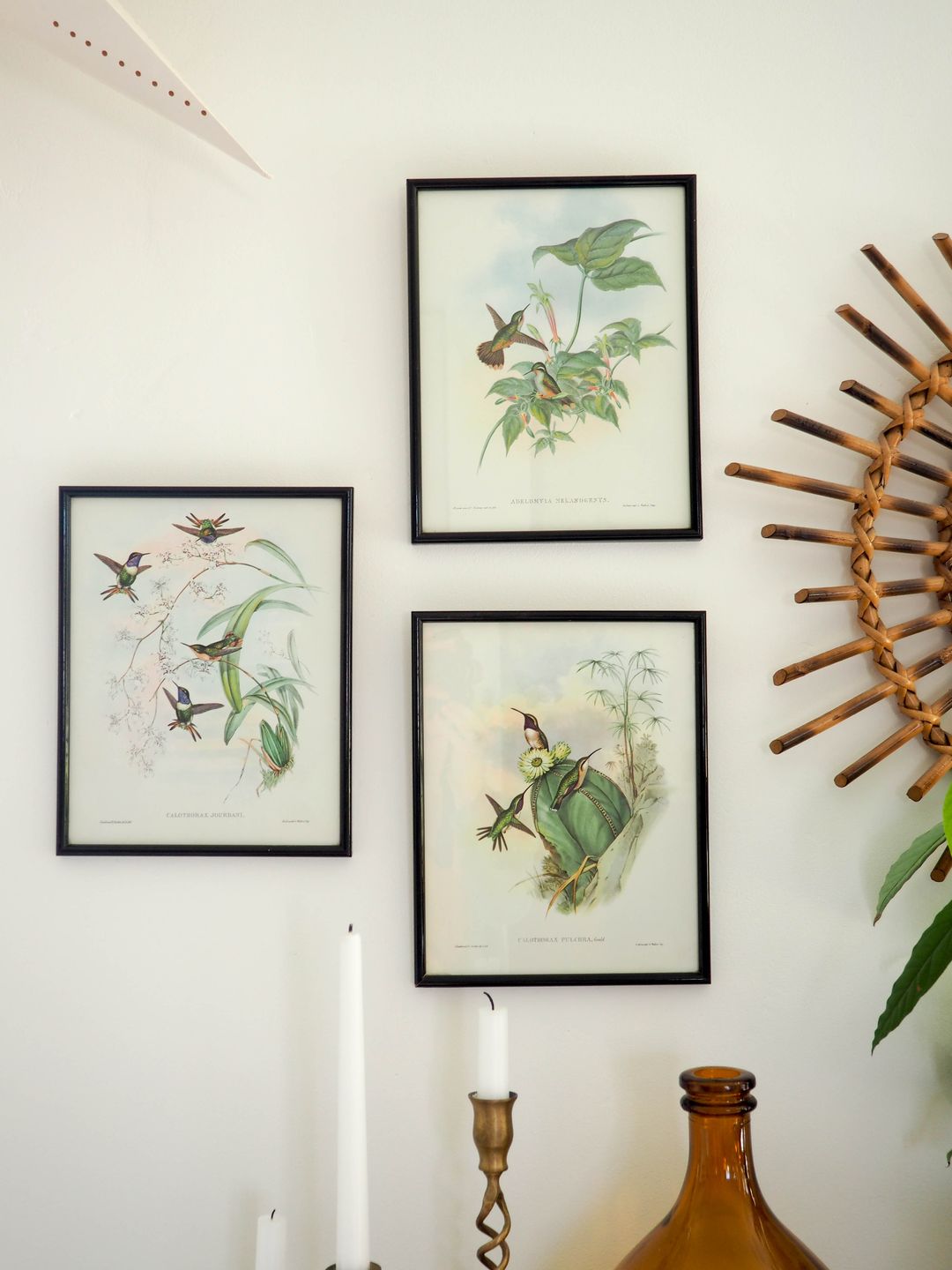 gravures oiseaux vintage illustrations buffet plantes