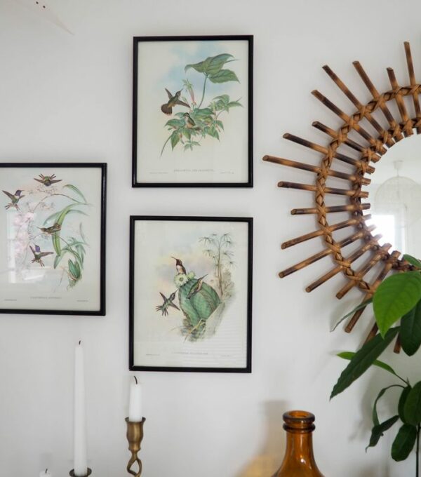 gravures oiseaux vintage illustrations buffet plantes