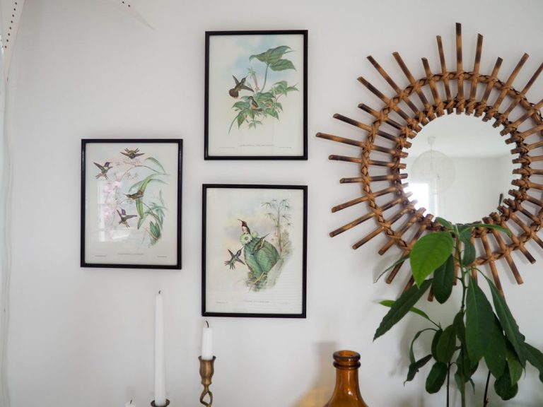 gravures oiseaux vintage illustrations buffet plantes