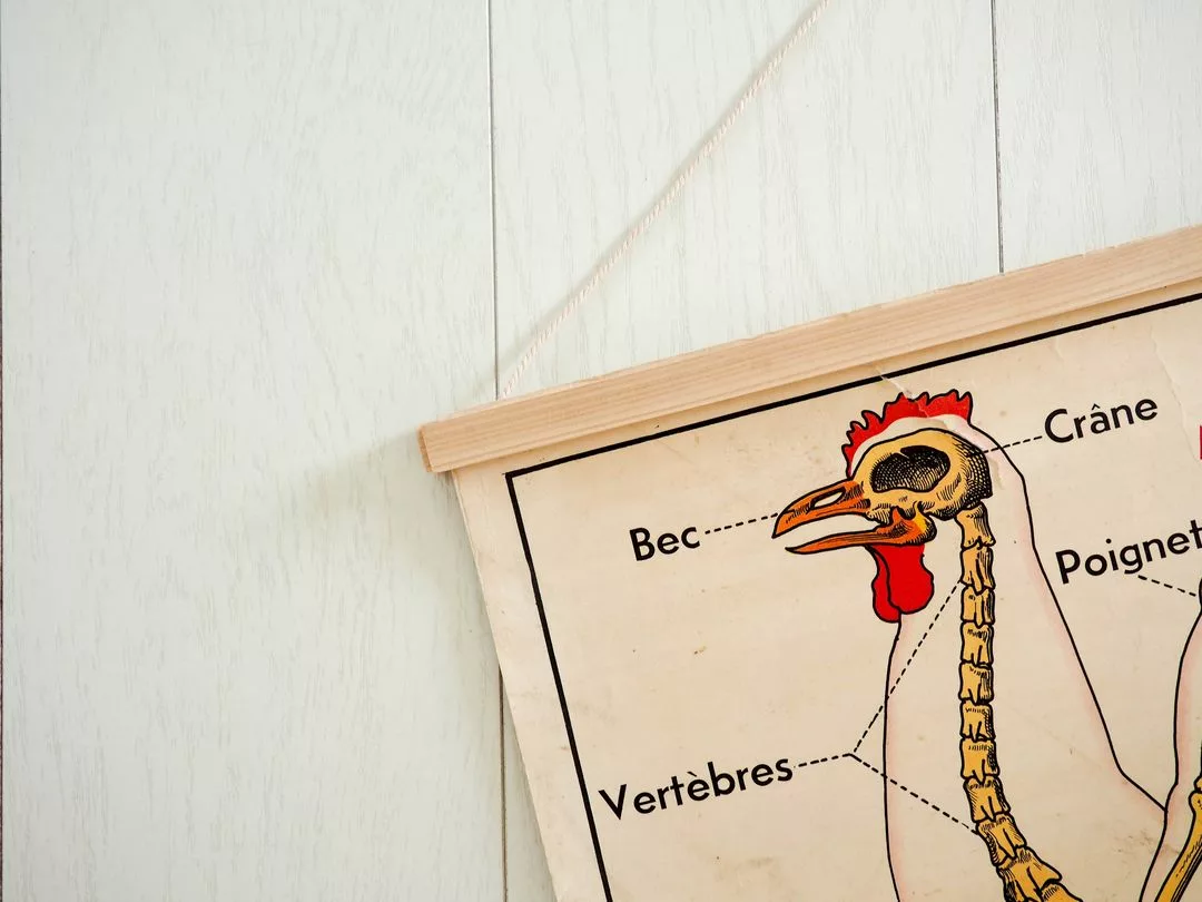 Porte affiche aimanté DIY