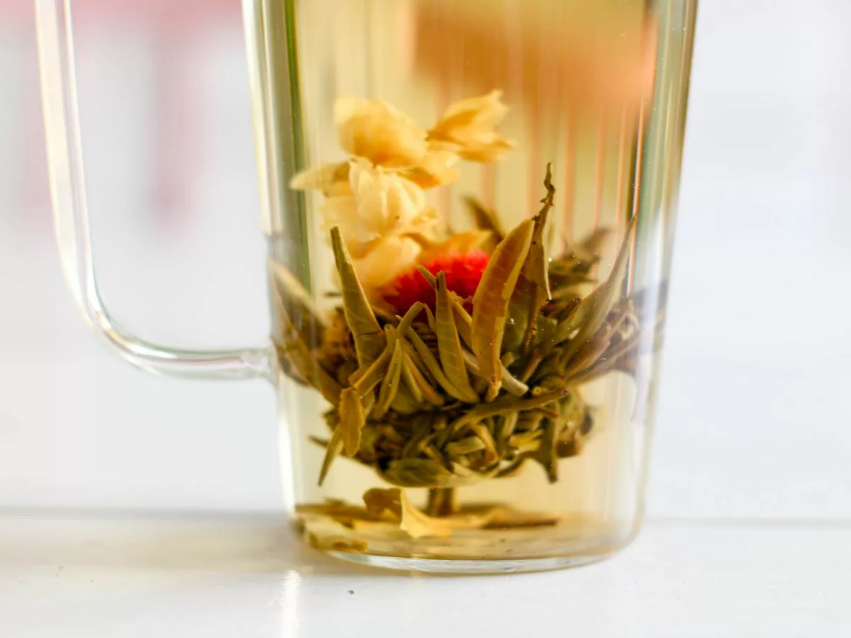 Fleurs de thé nature & découvertes