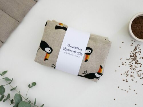 Bouillotte en graines de lin coussin chauffant relaxant bouillotte sèche