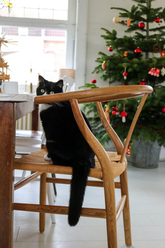 PIB meuble design et qualité chaise chaise chene mantta