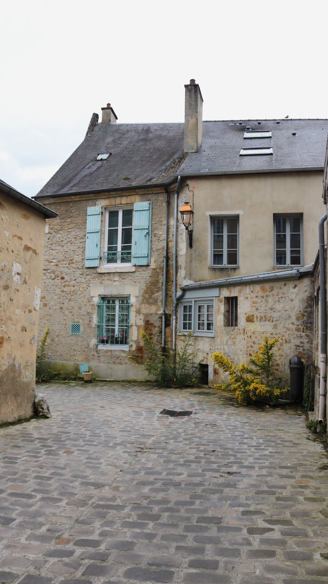 Découverte du Perche et de l’Orne ❤️
.
Dans la vidéo : 
- les ruines du château de la Ferte Vidame 
- le collège royal et militaire de Thiron Gardais @collegeroyal_thirongardais 
- la ville de Mortagne au Perche
- la collégiale de Montligeon
- la brasserie du Perche 
- le musée de la forêt de Senonches @chateau_de_senonches 
.
En guests stars: Gautier, Camil, Loup, escargot de Bourgogne, coléoptère et chenille bombyx du chêne. 
.
#perche #lebonheurestdansleperche #perchetourisme #mortagneauperche #ornetourisme