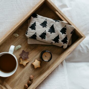 La petite bouillotte en graines de lin - Sapins