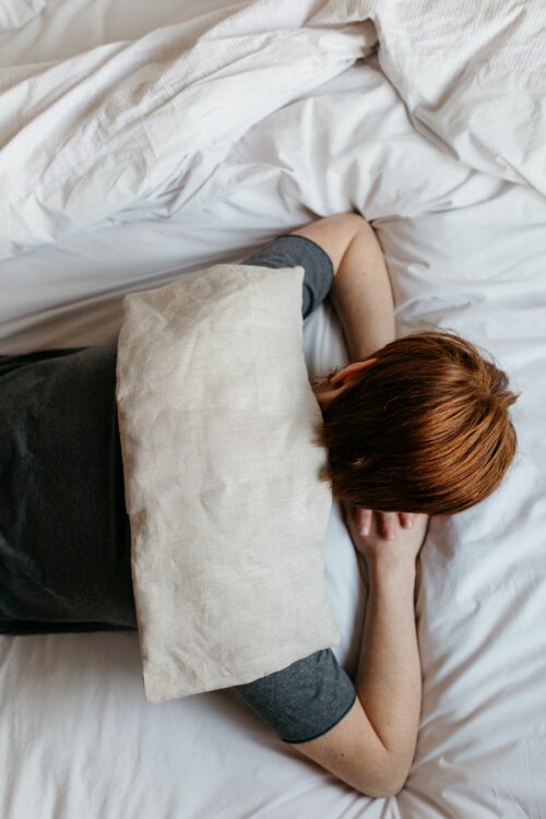 La grande bouillotte en graines de lin - Brique