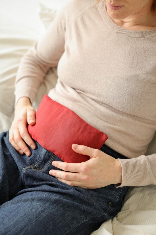 BJT_0176 Petite bouillotte en graines de lin ventre