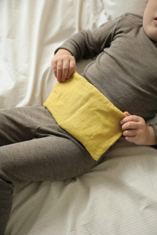 Petite bouillotte en graines de lin ventre