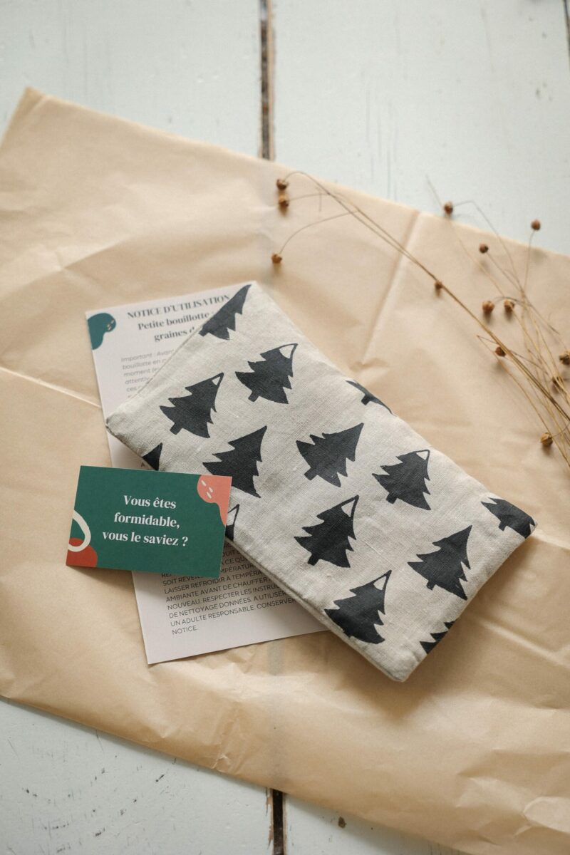 Petite bouillotte en graines de lin cadeaux