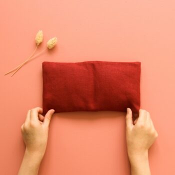 Petite bouillotte en graines de lin rouge