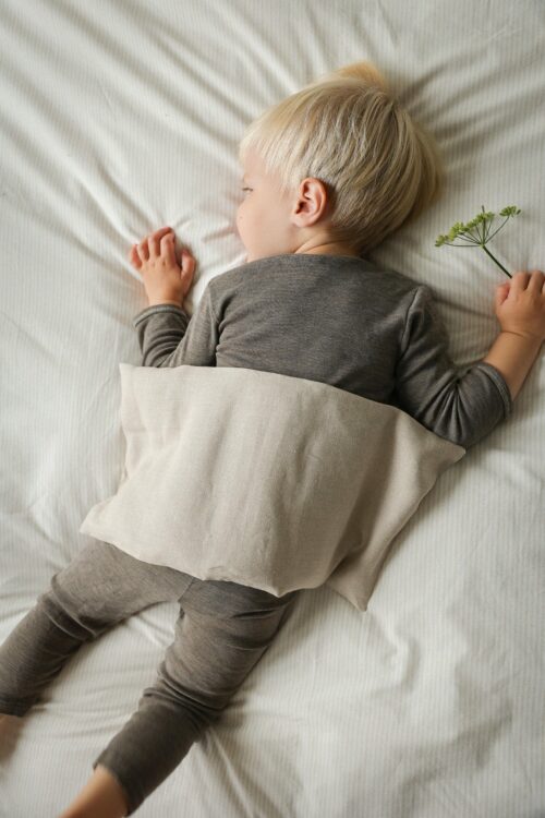 BJT_0044 Grande bouillotte en graines de lin