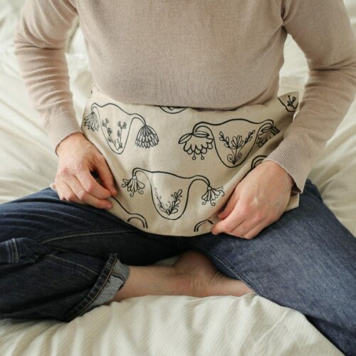 Bouillotte en graines de lin utérus