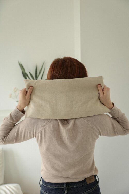 Grande bouillotte en graines de lin