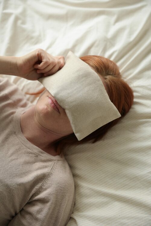 BJT_0238 La petite bouillotte en graines de lin Pois