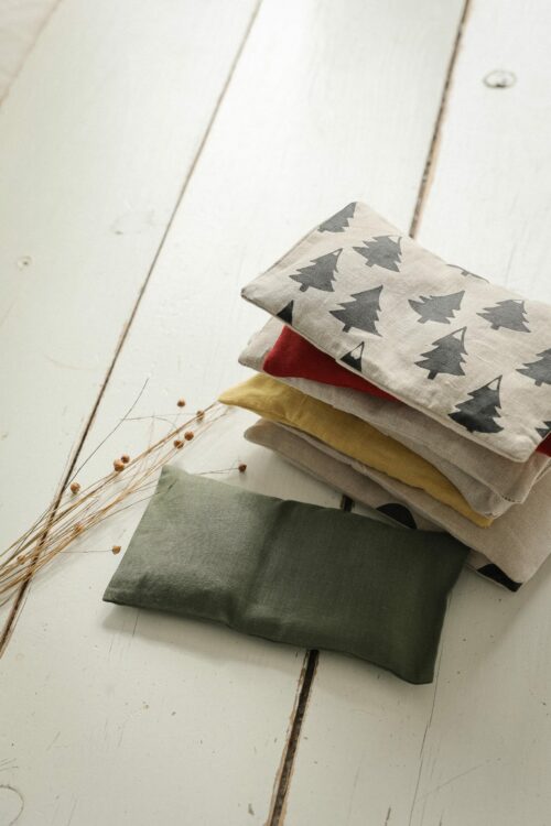 BJT_0283 La petite bouillotte en graines de lin yeux eveil